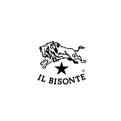 IL BISONTE